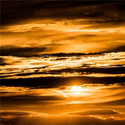 BOB体育综合官方APP下载8