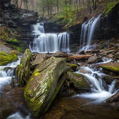 365体育官网入口