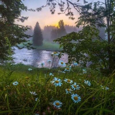 365体育官网入口